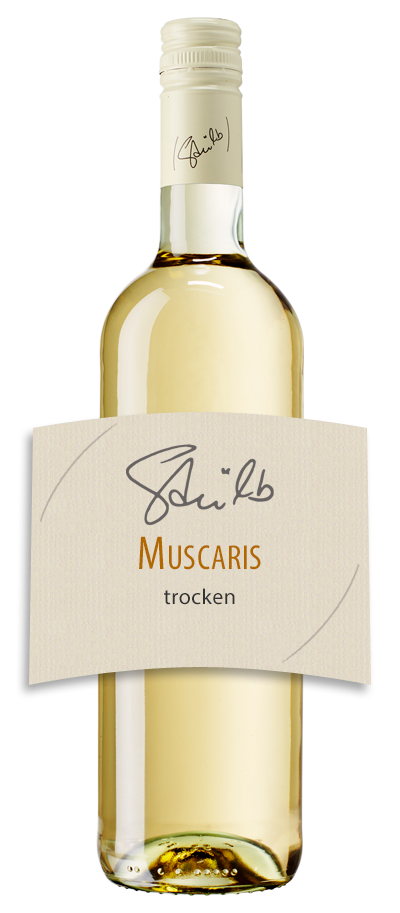 Muscaris trocken 2024